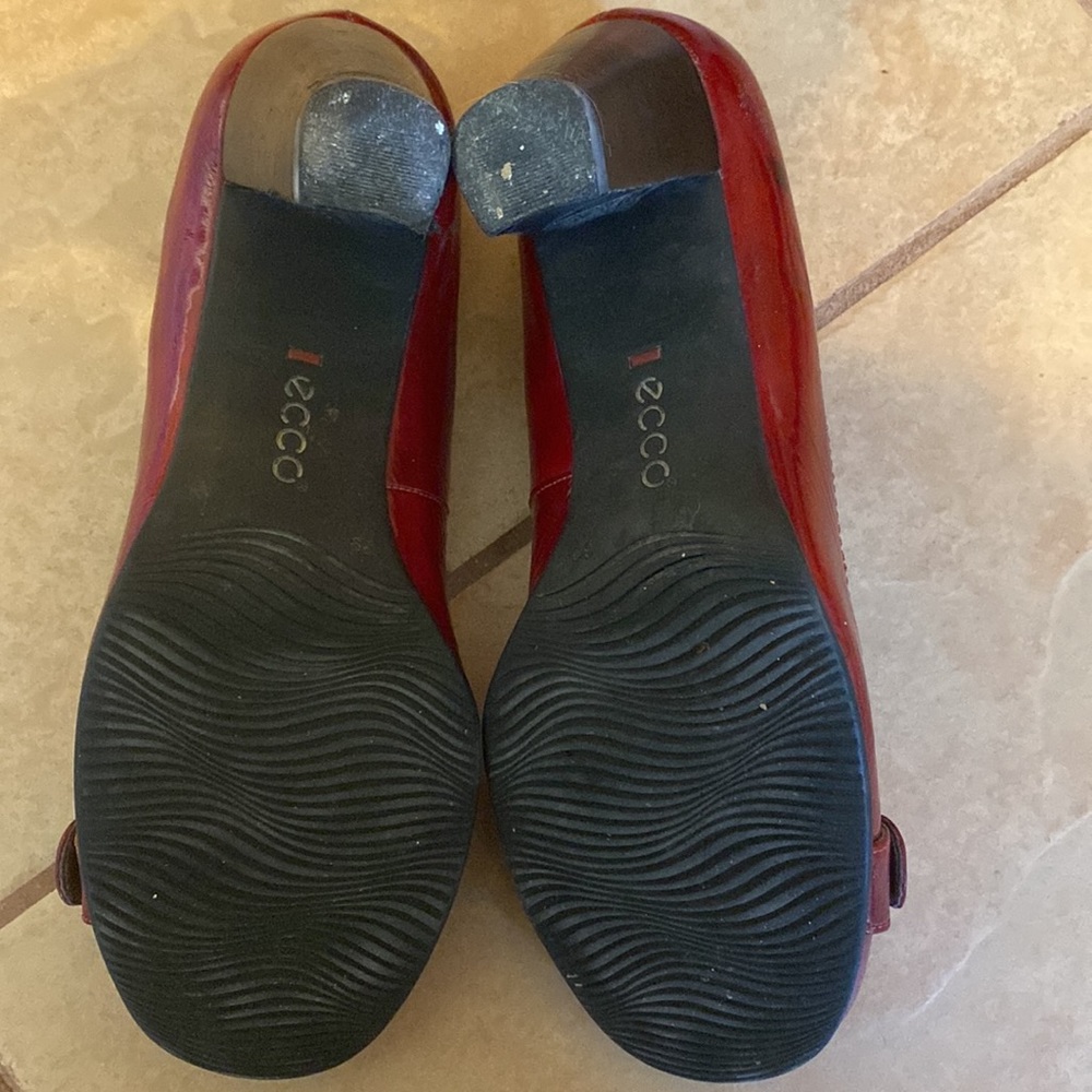 Echo Pumps - image 5